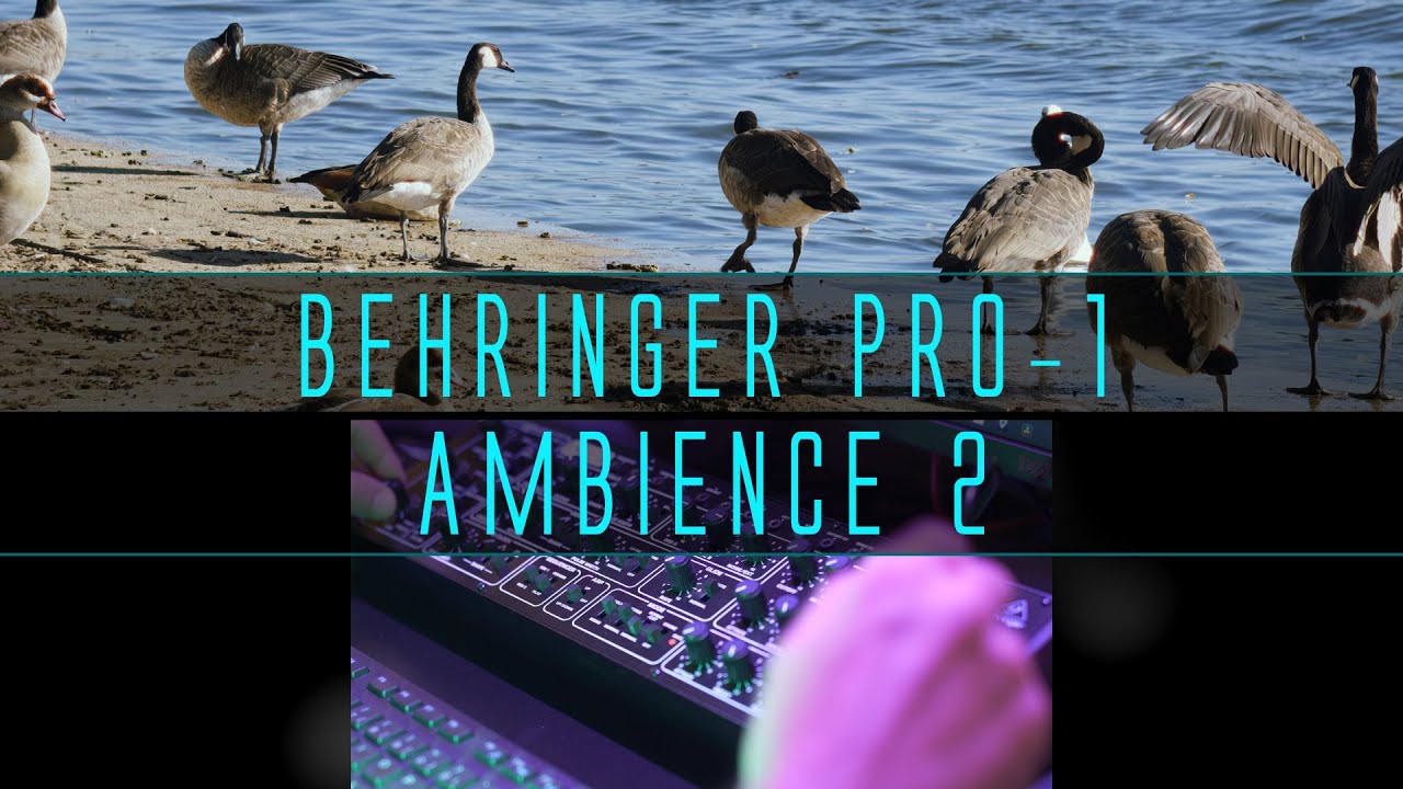 Ambience 2 (Behringer Pro-1 Ambient Demo)