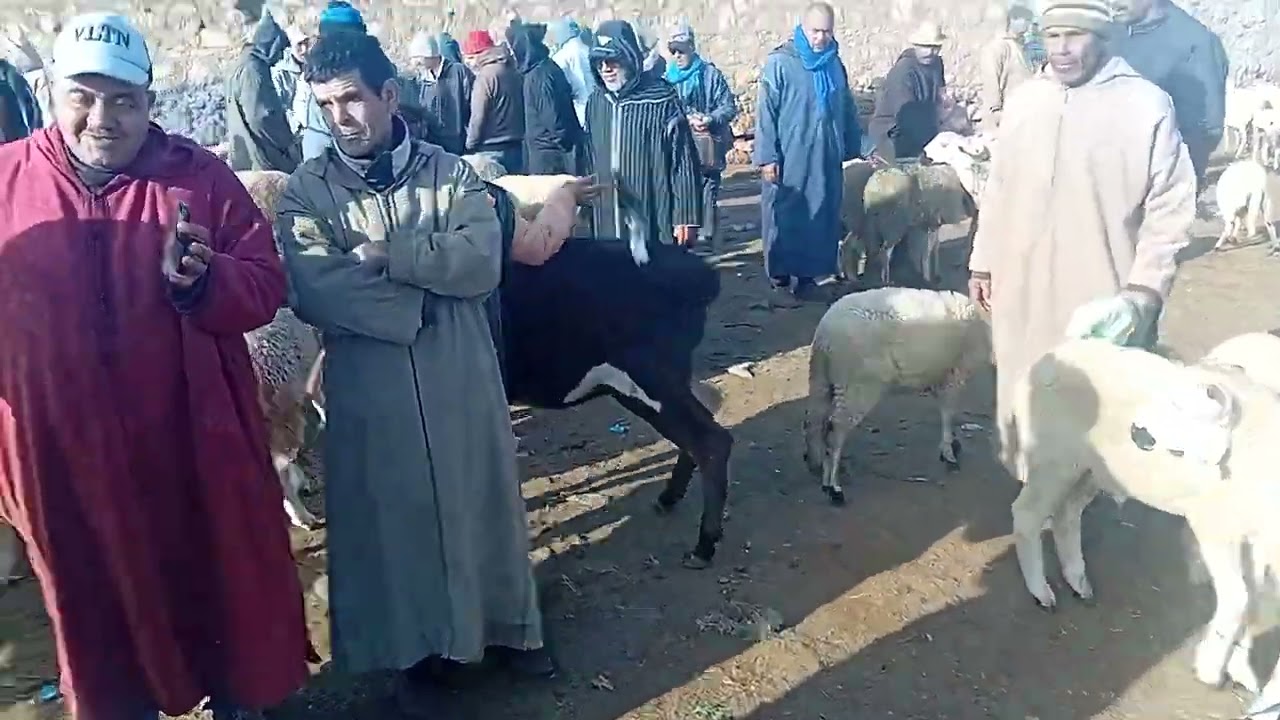 ألله على سوق الأسبوعي جمعة لعرارشة إقليم قلعة السراغنة بتاريخ 13/03/2026/0658373050