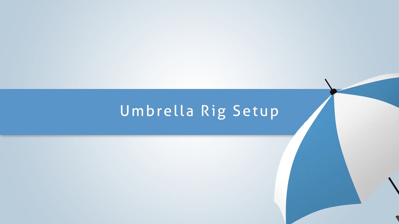 3Ds Max - How to set up an umbrella rig