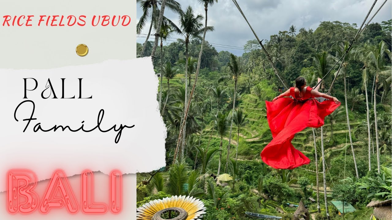 Rice Fields Ubud 2024 | Bali | Pall Family with @DreiWhoGames