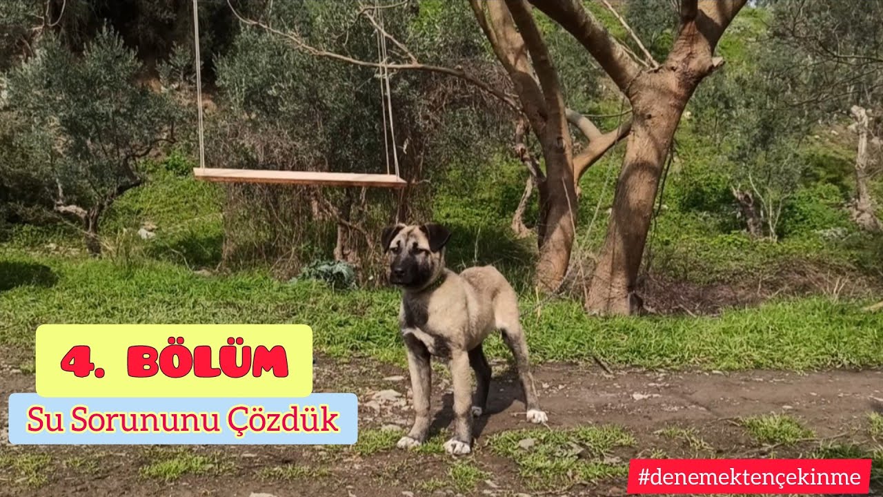 Bağ Evi Hikayesi 4 - Su Sorununu Çözdük