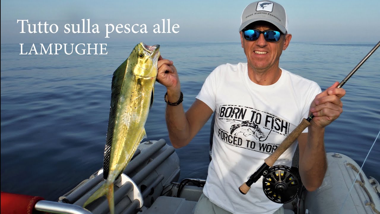 Tutto sulla pesca alle lampughe Come e dove pescare in mare dalla barca a streamer Dorado Mahi Mahi