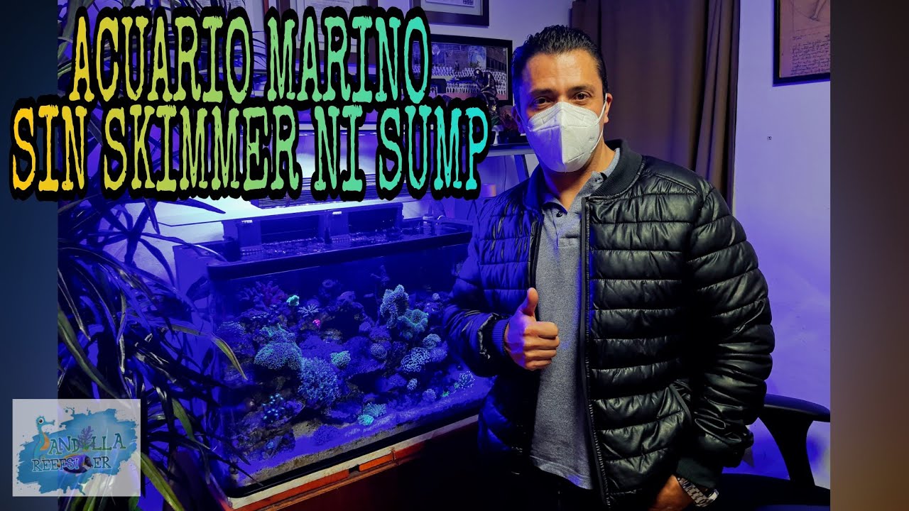 ACUARIO MARINO SIN SKIMMER NI SUMP (El hermoso Reef de Miguel)