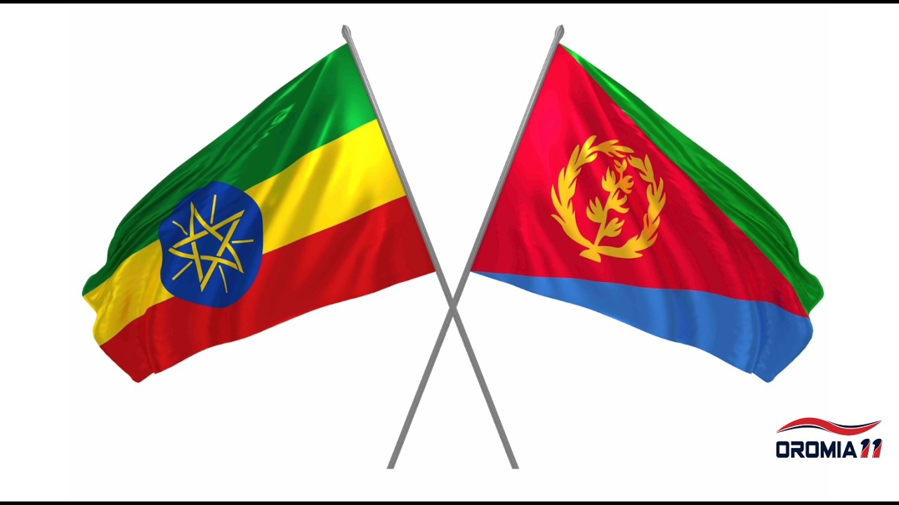 OROMIA11: Oduu-2-6-2026