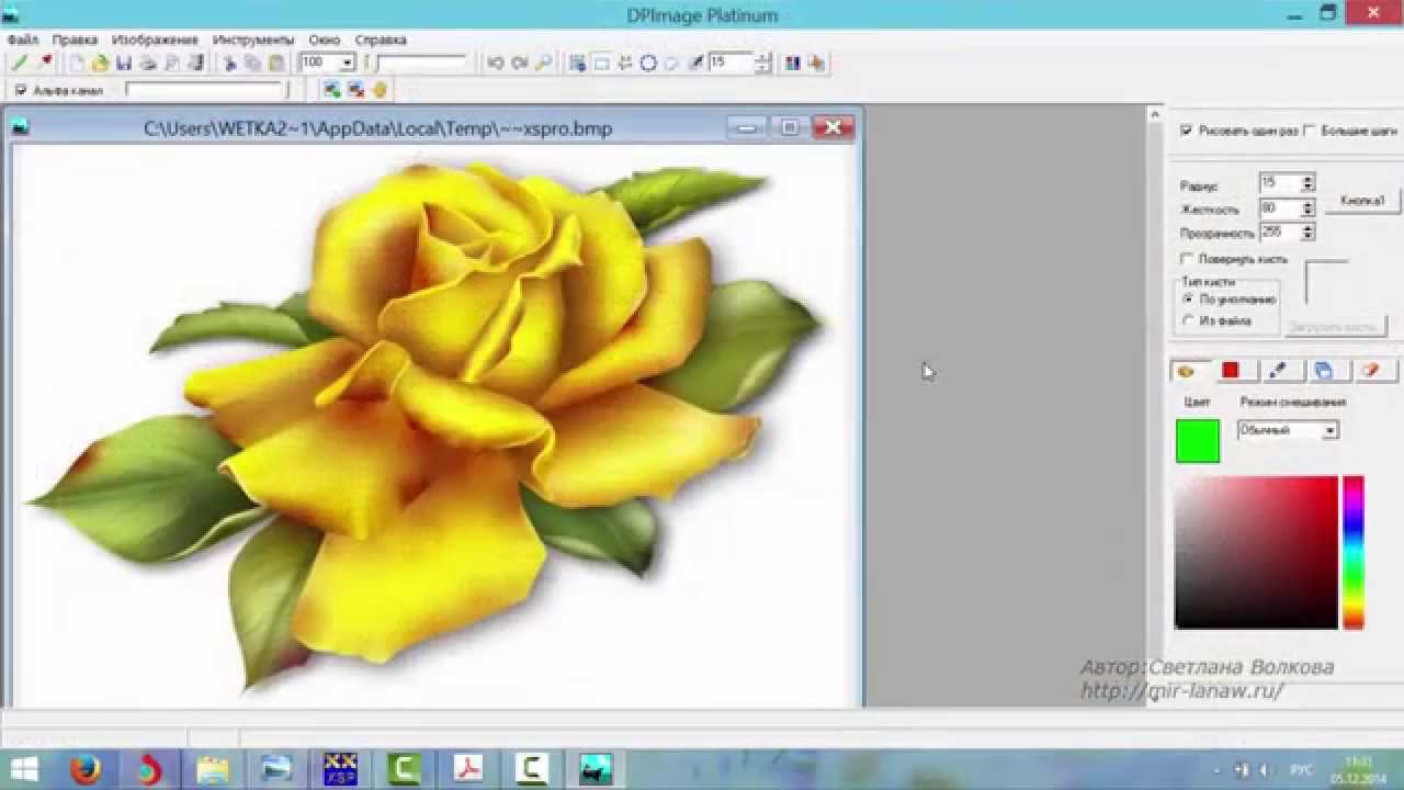 Программа Cross Stitch Professional Platinum — прогон изображения