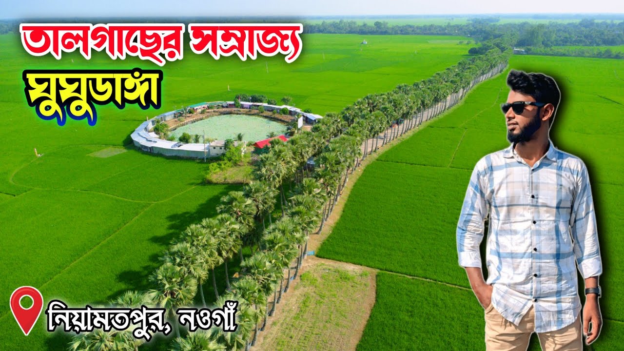 ঘুঘুডাঙ্গা তালতলি 🌴 | নওগাঁ নিয়ামতপুরের প্রকৃতির সৌন্দর্য | Ghughudanga TalToli Naogaon