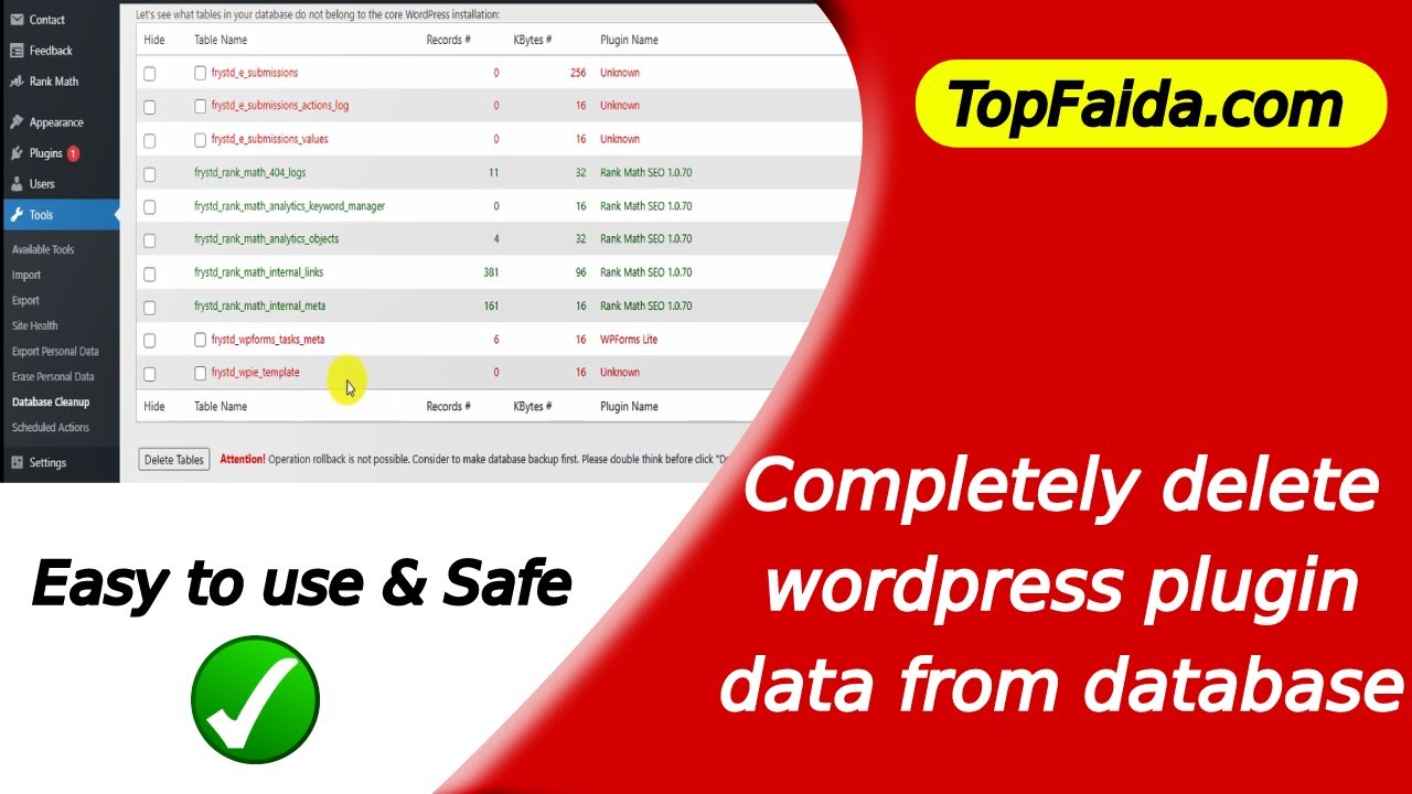 how to delete WordPress plugin completely with database.