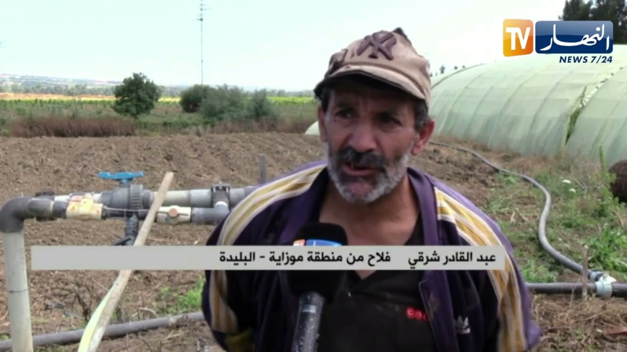 مستثمرات فلاحية في قلب المتيجة دون كهرباء
