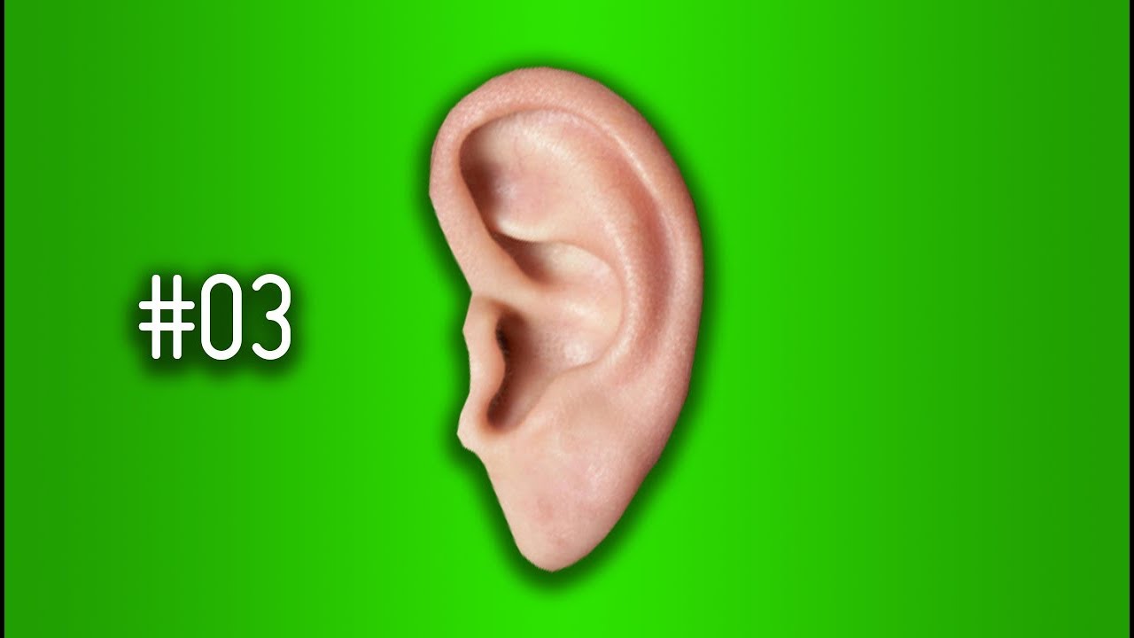 #03 L'ou&iuml;e, partie 1 - Les sens humains - e-penser
