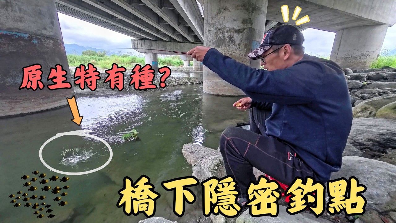 🔥導航也找到迷路！壽豐原生魚天堂🎣 深入地圖外的迷蹤小徑😱｜Maxcatch｜花蓮｜壽豐｜小物釣｜微物釣｜タナゴ｜Tanago｜#fishing #fishinglife #outdoors