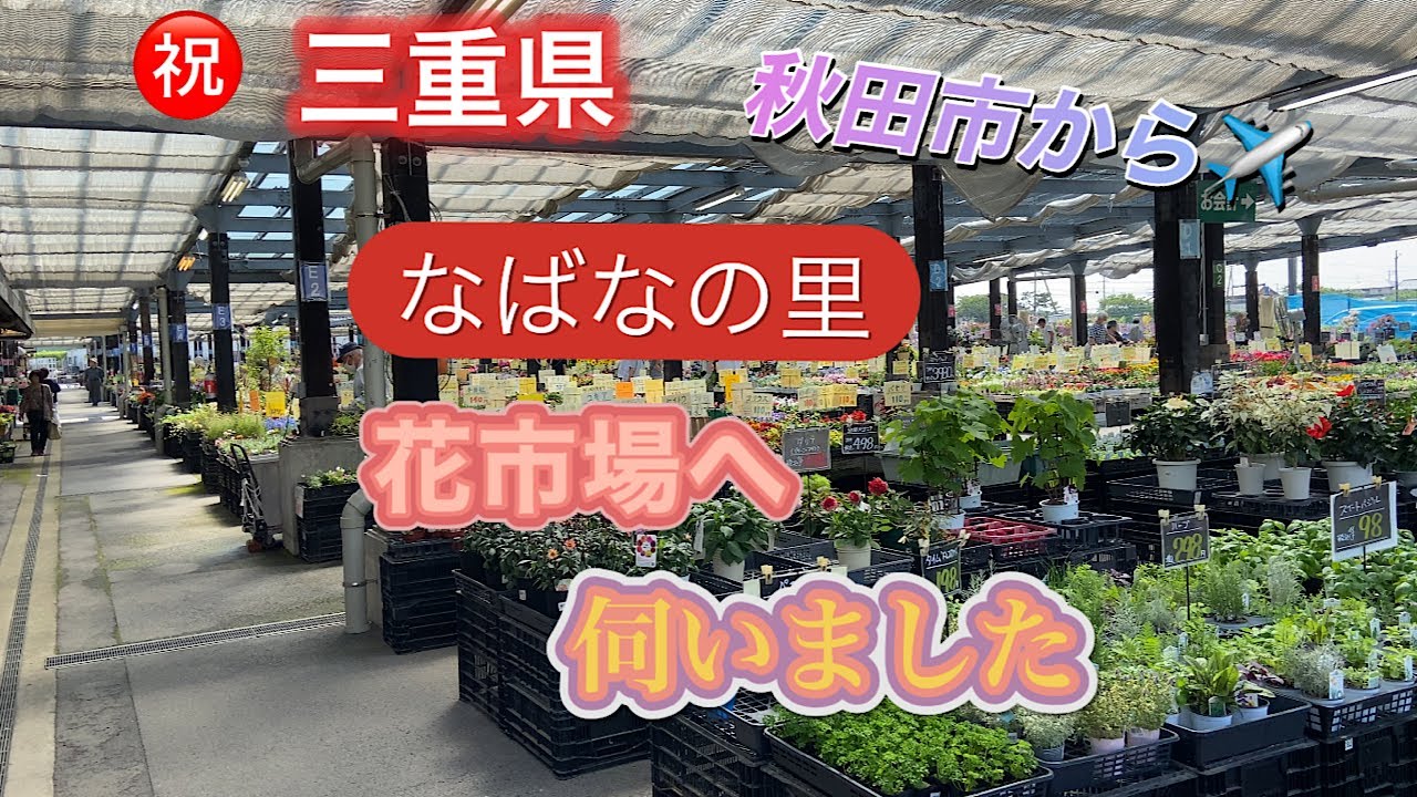 【秋田から三重県なばなの里へ伺いました】お花のテーマパーク、東海地区最大級の品揃え、花市場さんが凄い