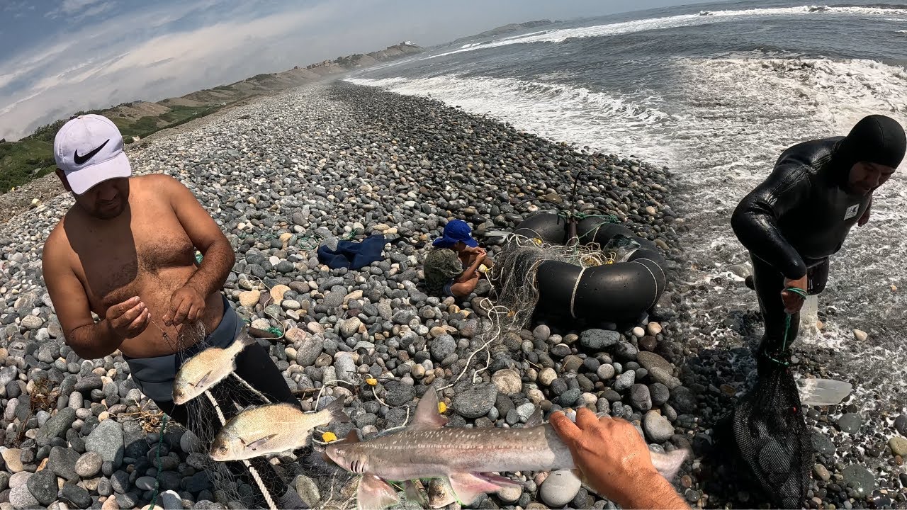 Mira como nos fue con la PESCA DE CHITA!!