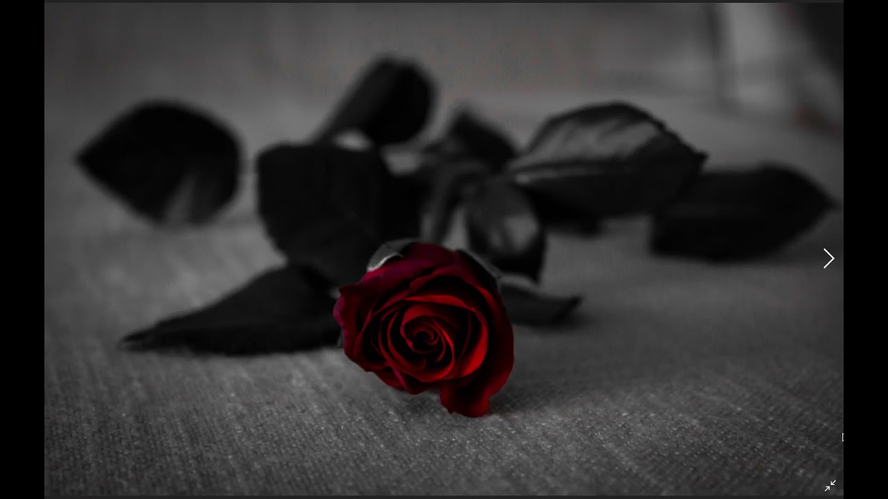 Turkish Sad Violin Oriental Rap Beat Instrumental  [Prod. By O5Beats] (Slowed) Gül