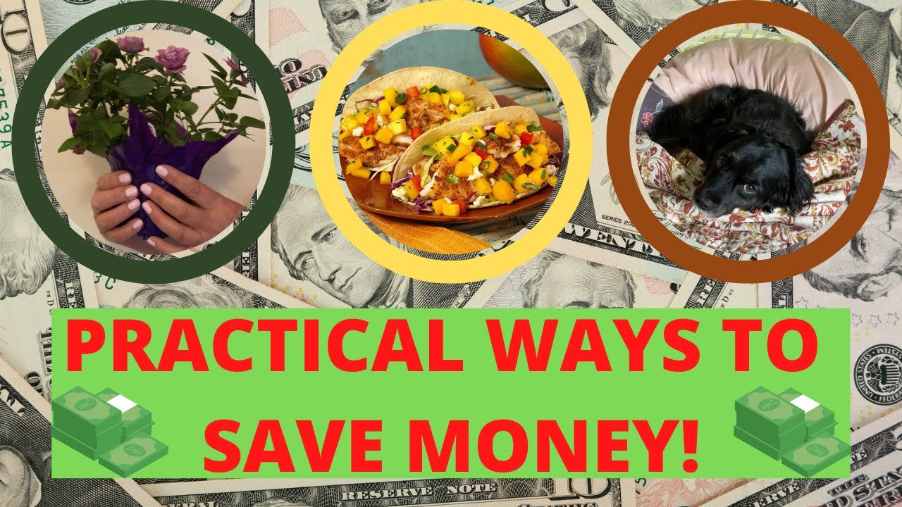 FUN & PRACTICAL WAYS TO SAVE MONEY! Mango Salsa!