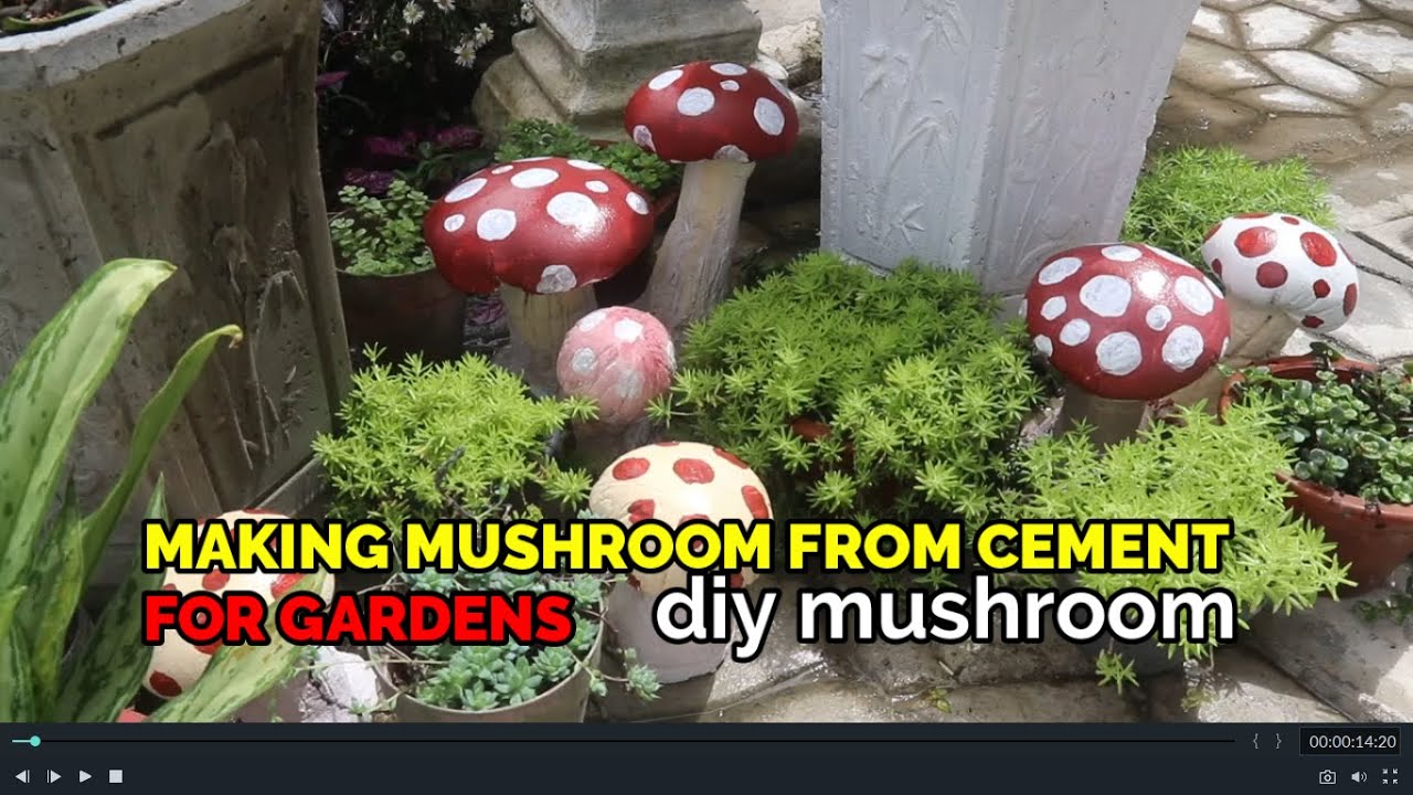 Making DIY Mushroom Cement for Garden - simple and easy way!