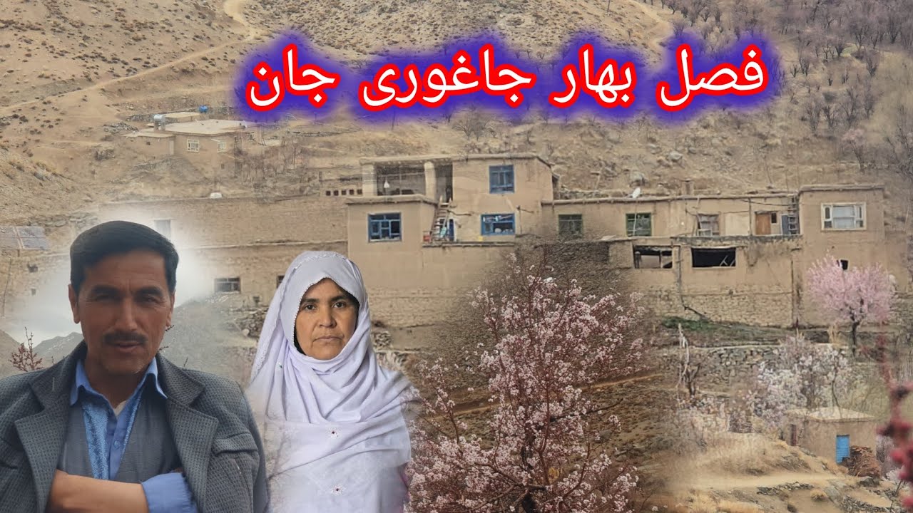 فصل زیبای جاغوری جان❤❤ گلزار های جاغوری