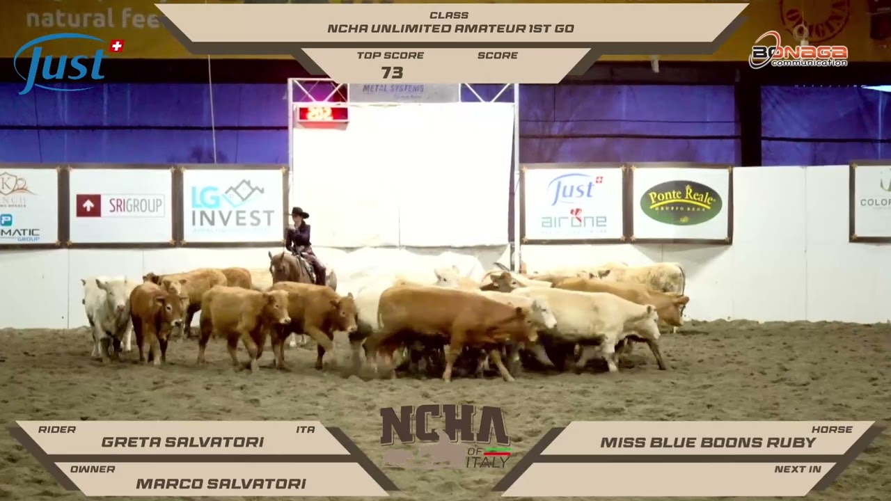 Ncha Unlimited Amateur 1st show Champion