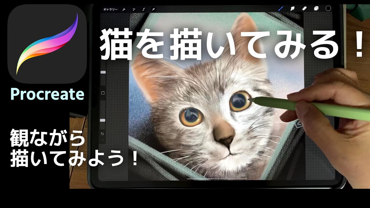 【iPad】初心者でも描けるにゃんこ！【Procreate】