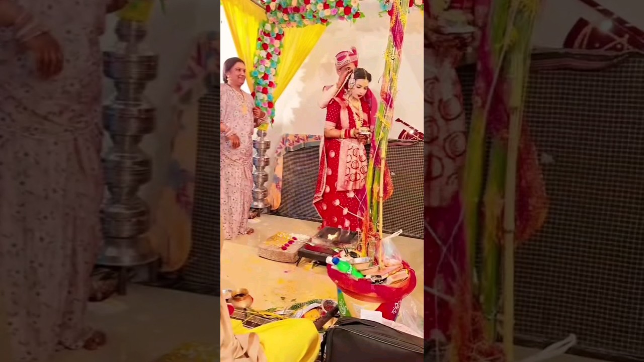cg new shadi video #wedding #shadi #marriage #love #newsong #haldi #cg #tranding #morchhaiyabhuiya2