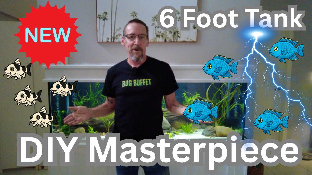 New 6 Foot tank DIY Masterpiece