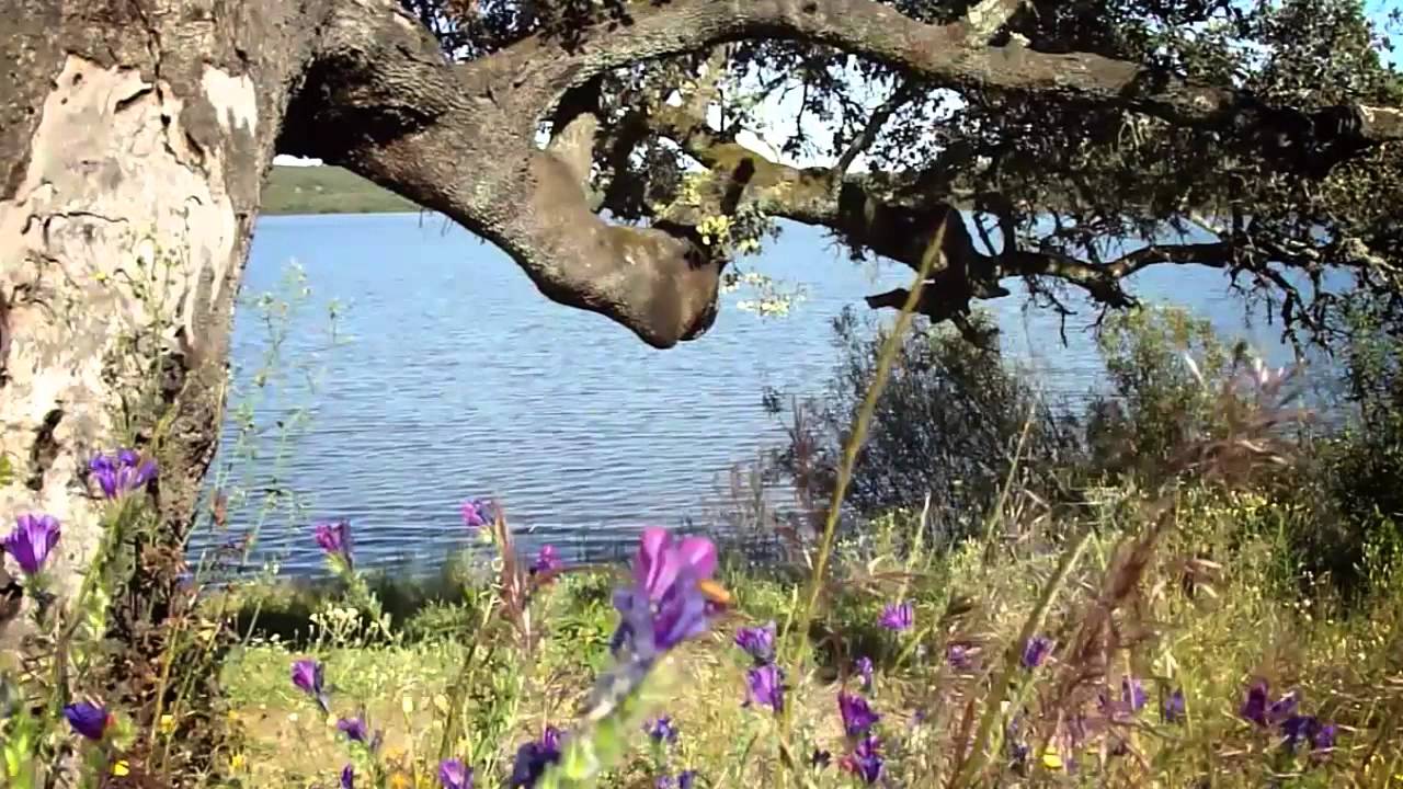 Parque Natural de Cornalvo