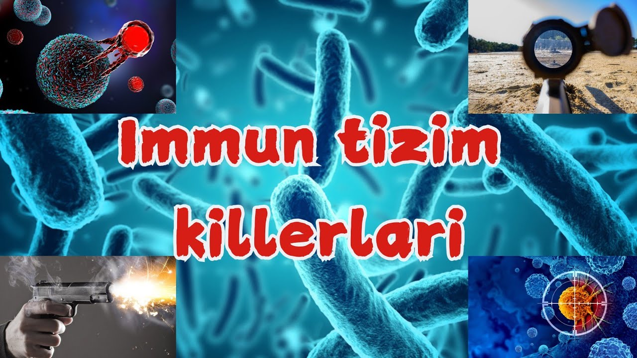Immun tizim killerlari | Adaptiv immunitet | T va B limfotsitlar | Antigen, antitana