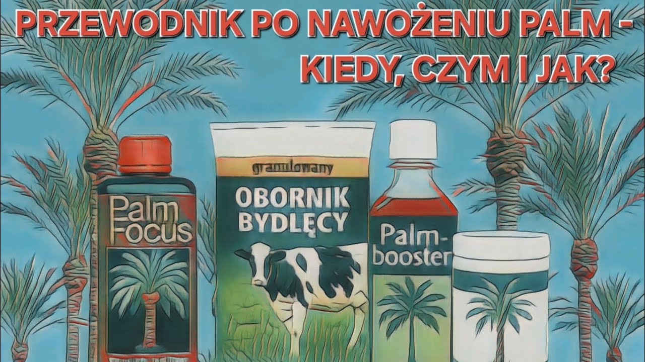 Nawożenie palm - praktyczny poradnik dla początkujących