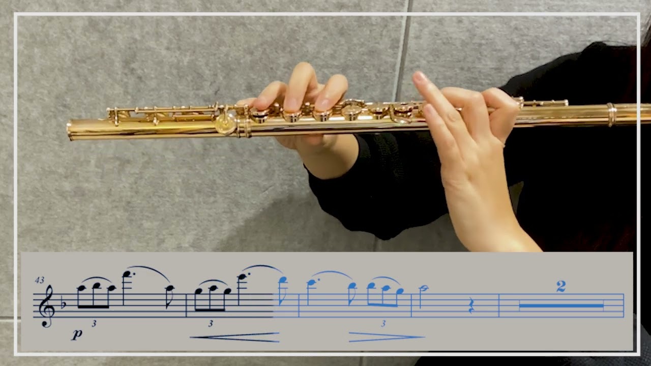 (피아노 반주) F. Schubert -Ständchen D. 957 for Flute and Piano Accompaniment (슈베르트 세레나데)