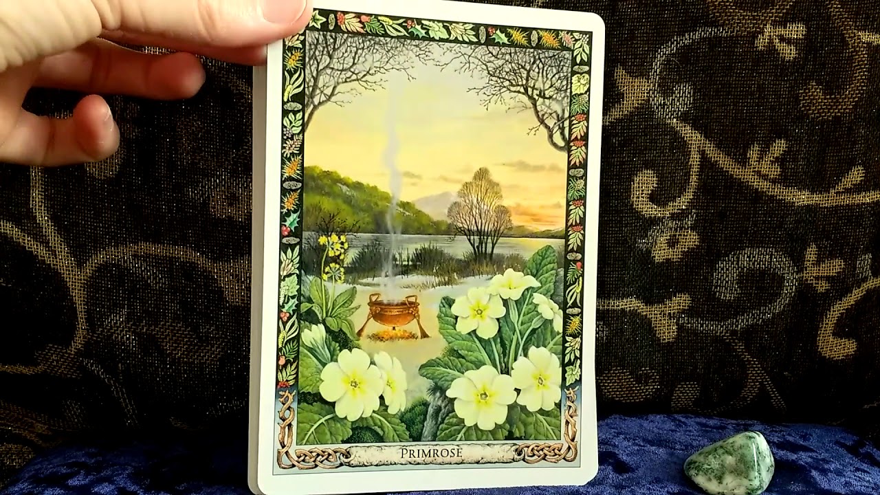 Druid Plant Oracle flip through