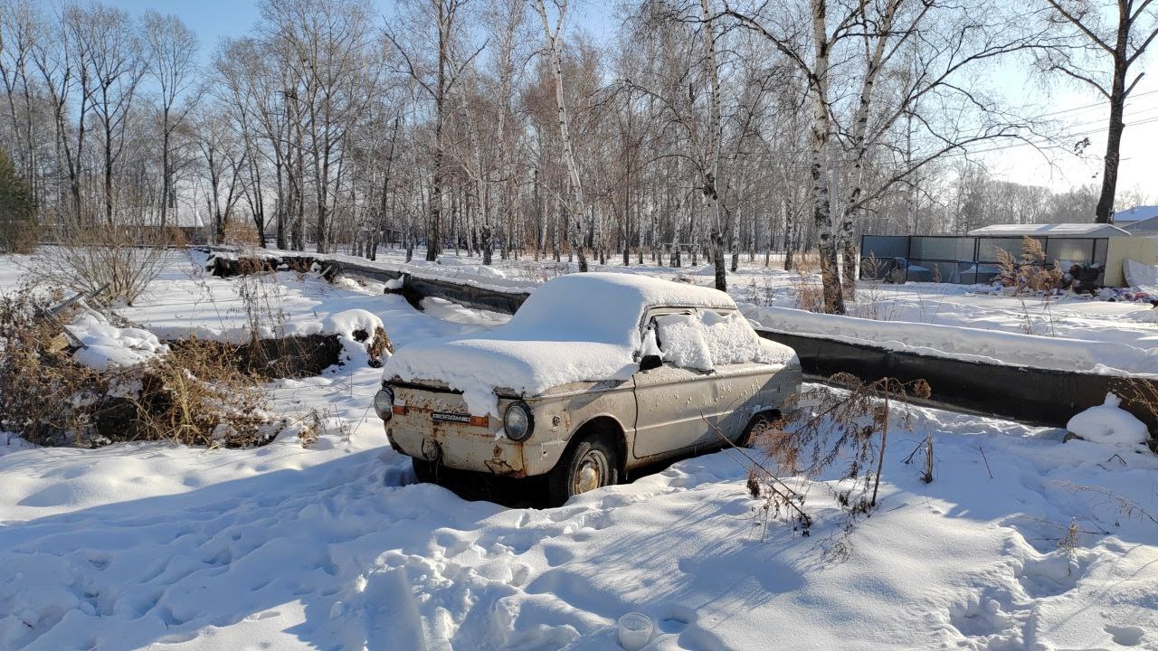 533. Галкино - Калинка. 08.01.25.