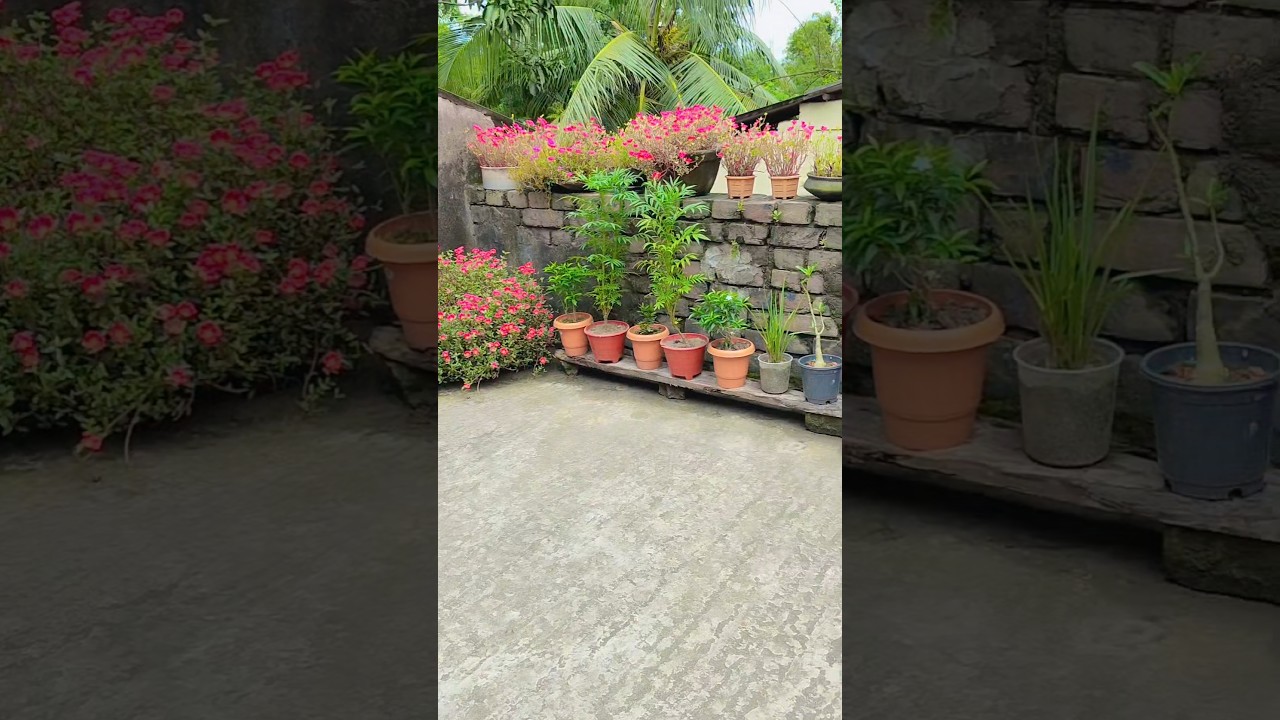 যদি ইচ্ছা থাকে সব কিছু করা যায়!?💯😱