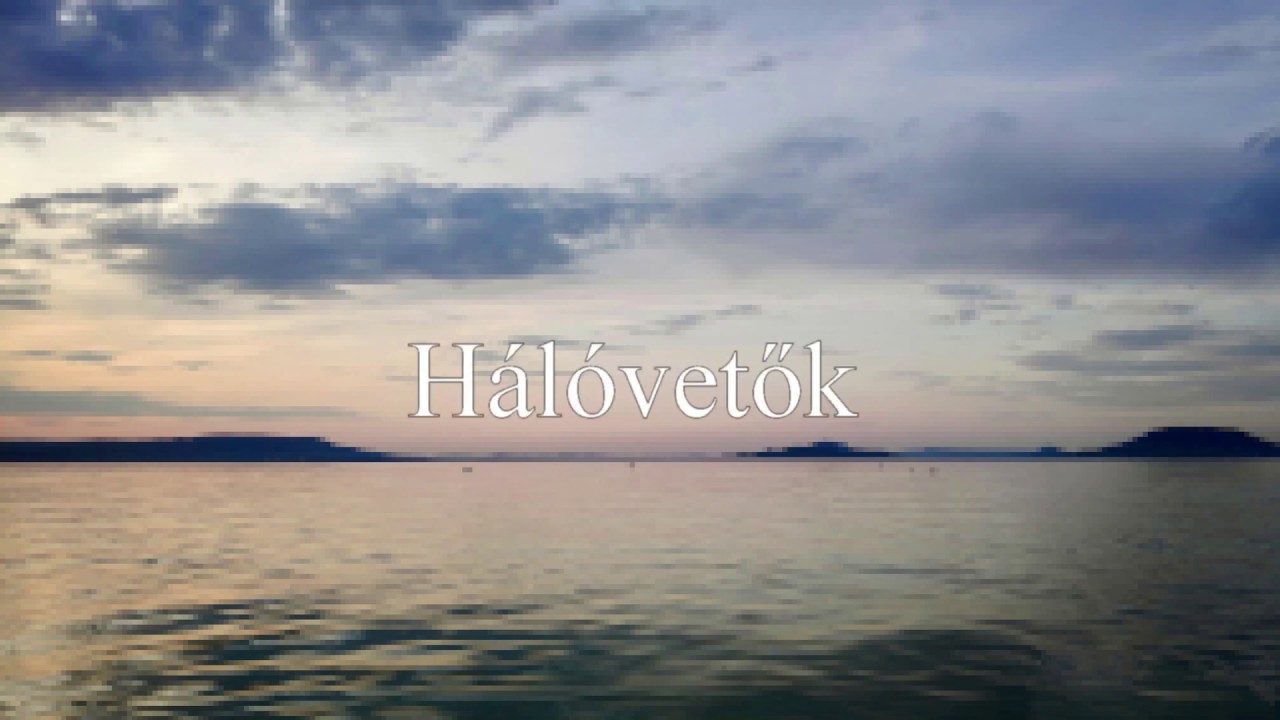 Hálóvetők
