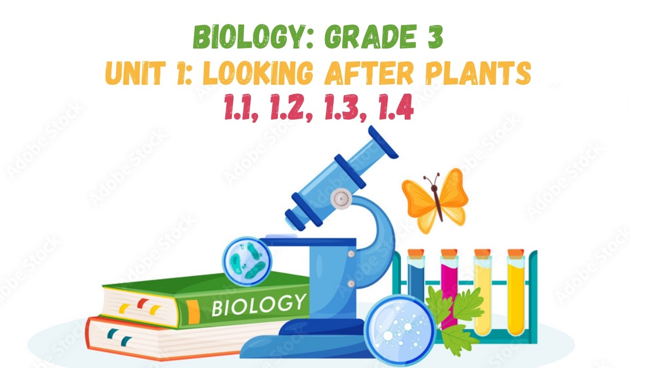 UNIT 1: LOOKING AFTER PLANTS