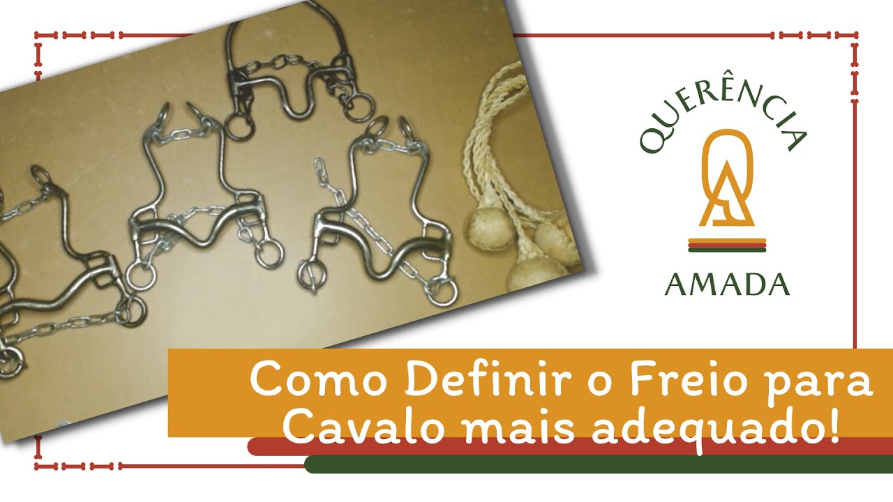 [Freios e Brid&otilde;es] Como Definir o Melhor Freio para o teu Cavalo?
