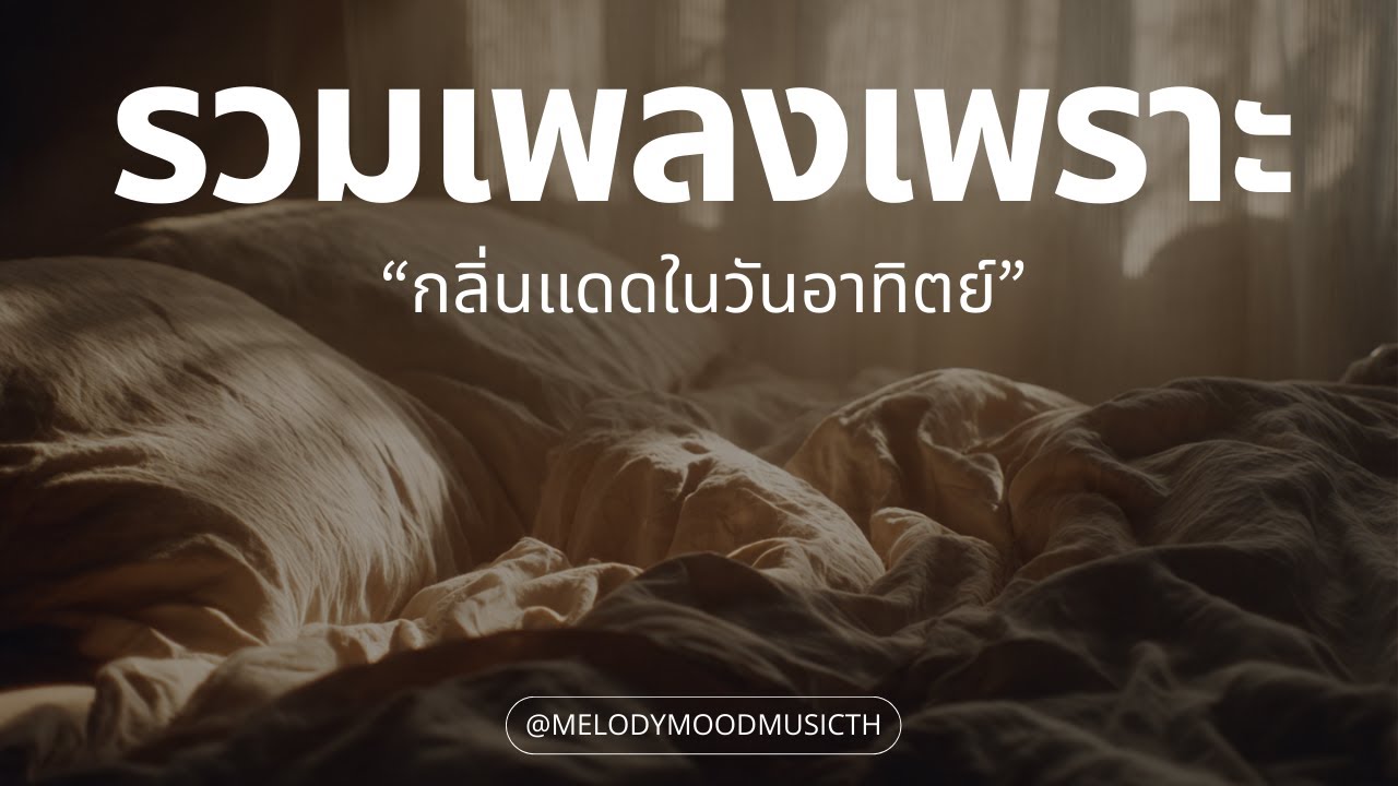 เพลงเพราะๆ ฟังสบายๆ 2026 | กลิ่นแดดในวันอาทิตย์ | รวมเพลง T-Pop R&B วันพักผ่อน - Music Longplay