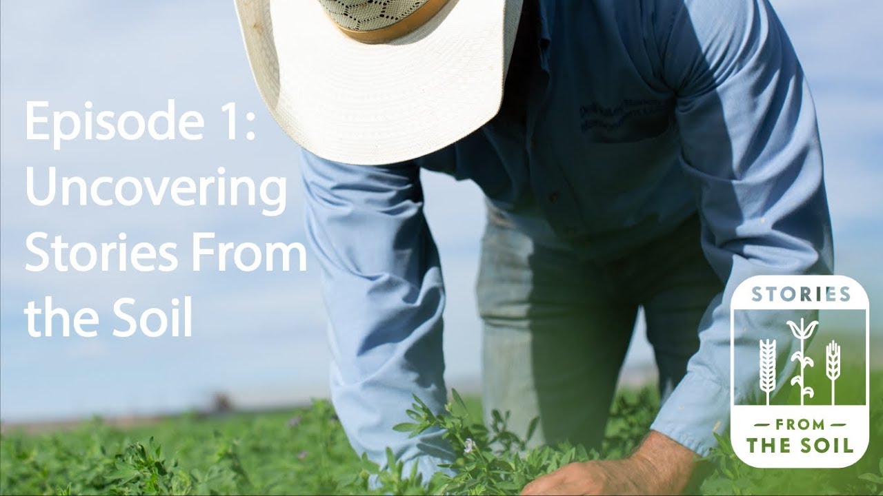 Stories From the Soil - Episode 1: Uncovering Stories From the Soil