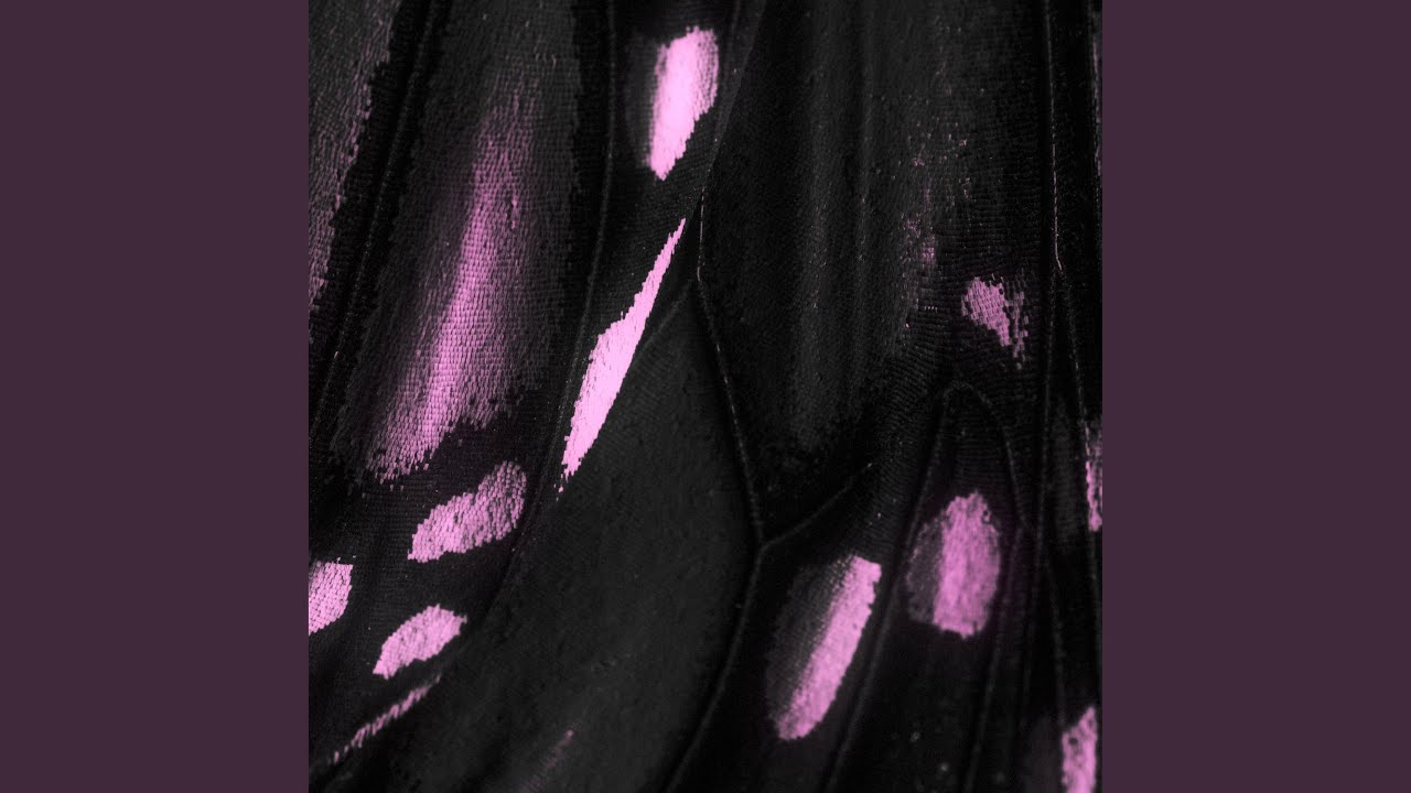 Butterflies (Slowed)
