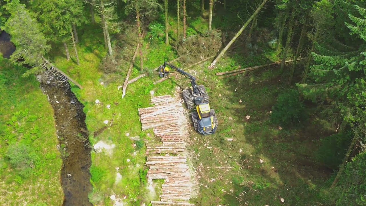 Ponsse Ergo Cutting Through the Forest – Timber Harvesting Beast!