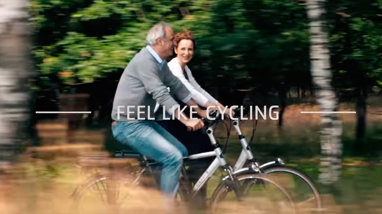 Gazelle corporate movie 2015