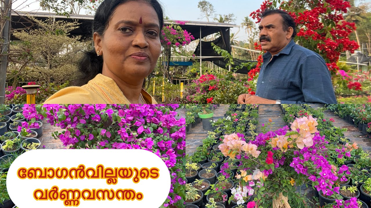 Green valley botanical garden Kottarakkara | A beautiful garden visit | ഗ്രീൻവാലി ബൊട്ടാണിക്കൽ ഗാർഡൻ