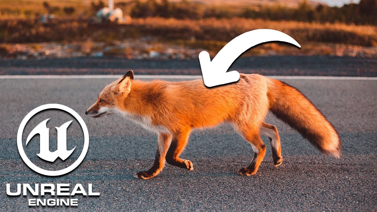 Unreal Engine 5 : Comment créer un animal qui se déplace (IA)