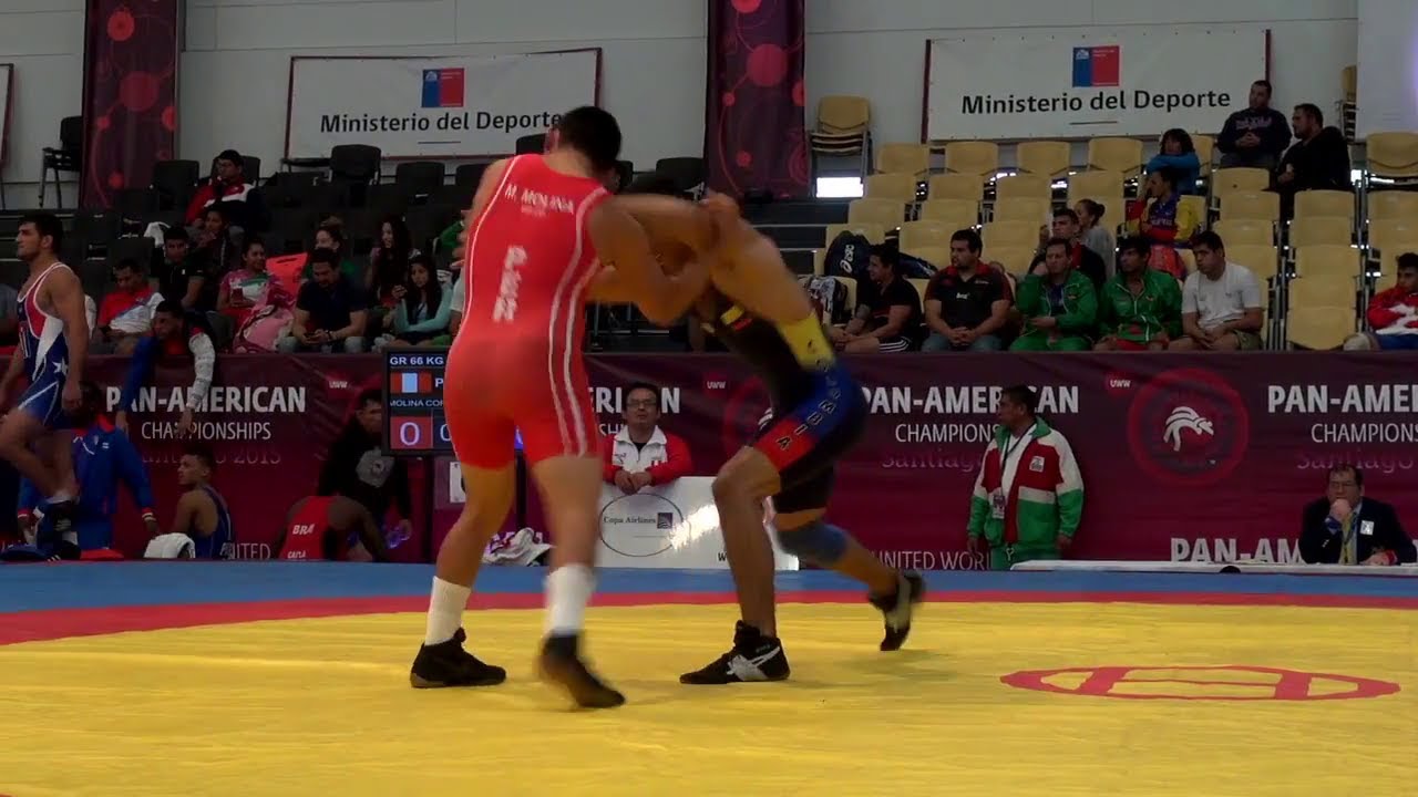Semifinal GR - 66 kg: Alexis CUERO (COL) df. Mario MOLINA CORTEZ (PER) by TF, 8-0