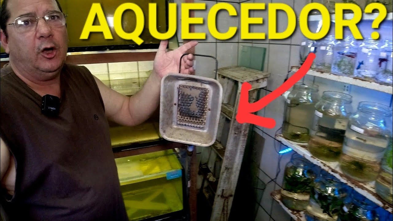 A LOJA DE AQUÁRIO MAIS RAIZ QUE EU JÁ VI! CONHEÇA  A ARTE E VIDA AQUARISMO EM MAUÁ SP