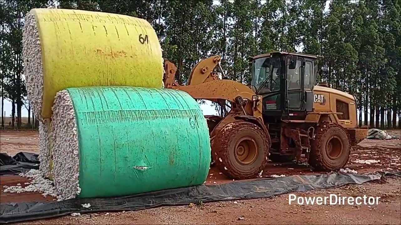 Carregamento de bolinha de algodão 🚜