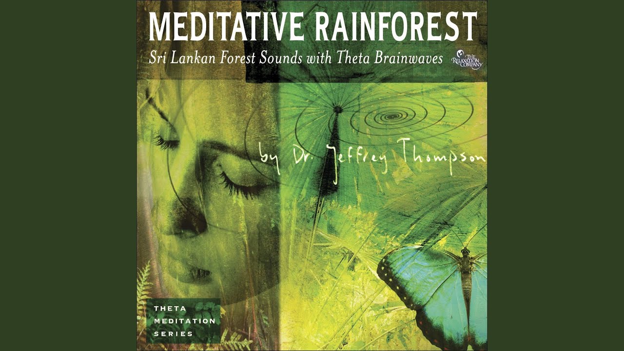 Meditative Rainforest