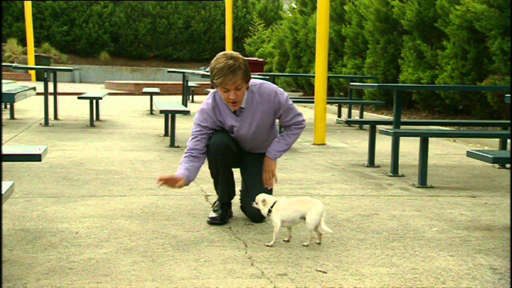 Summer Heights High - Mr G - Celine