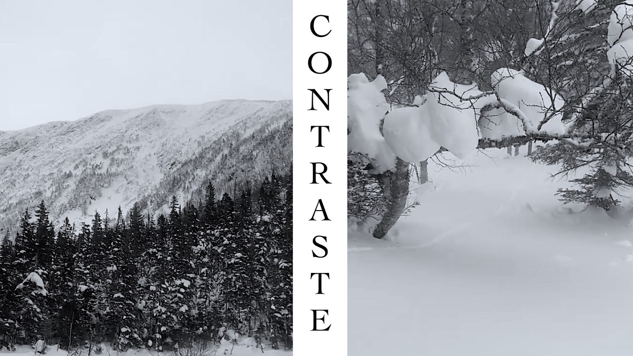 Contraste | Vents extrêmes & Japon Gaspésien