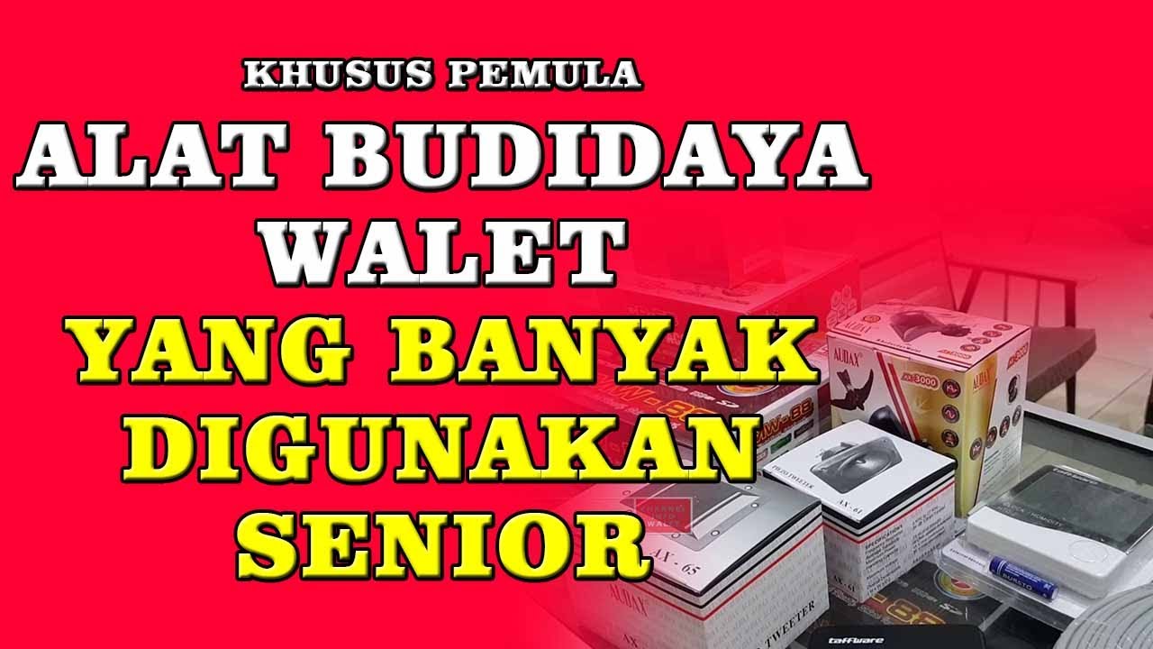 ALAT ALAT YANG DIBUTUHKAN DALAM MEMBUDIDAYAKAN BURUNG WALET INFO WALET