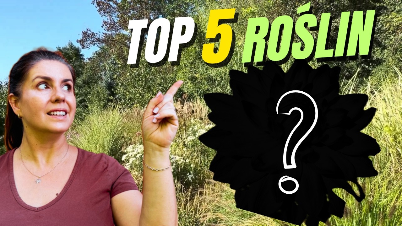 Top 5 NIESAMOWITYCH roślin, które kwitną w ogrodzie od lata do przymrozków!
