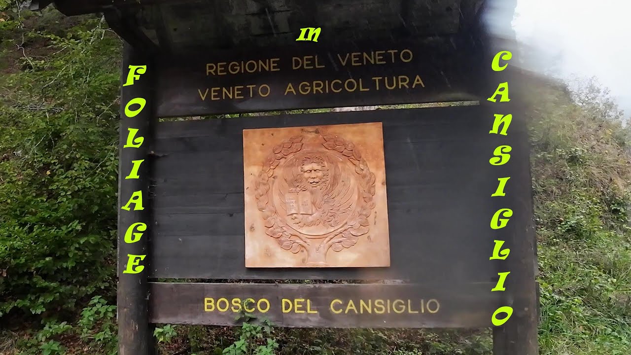 A caccia di foliage in Cansiglio PN_Bike. Crosetta-Pian Rosada-Capanne boschi Cimbri. Part 1 SUB EN